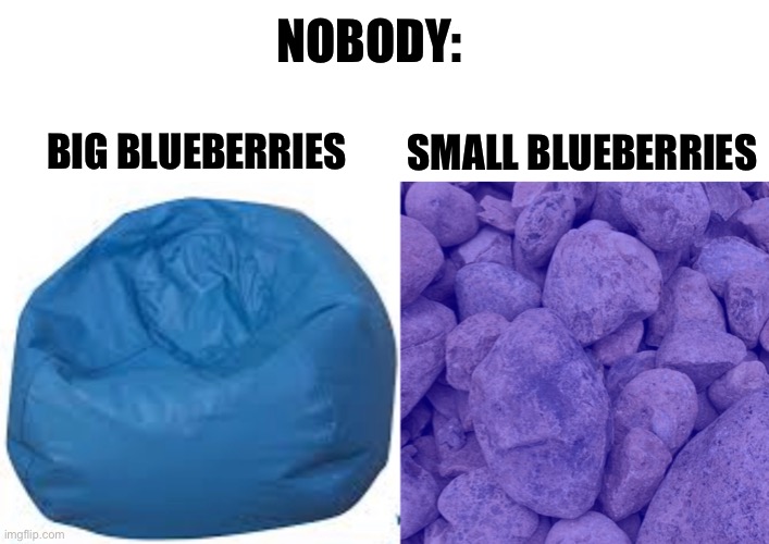 Detail Blueberries Meme Nomer 49