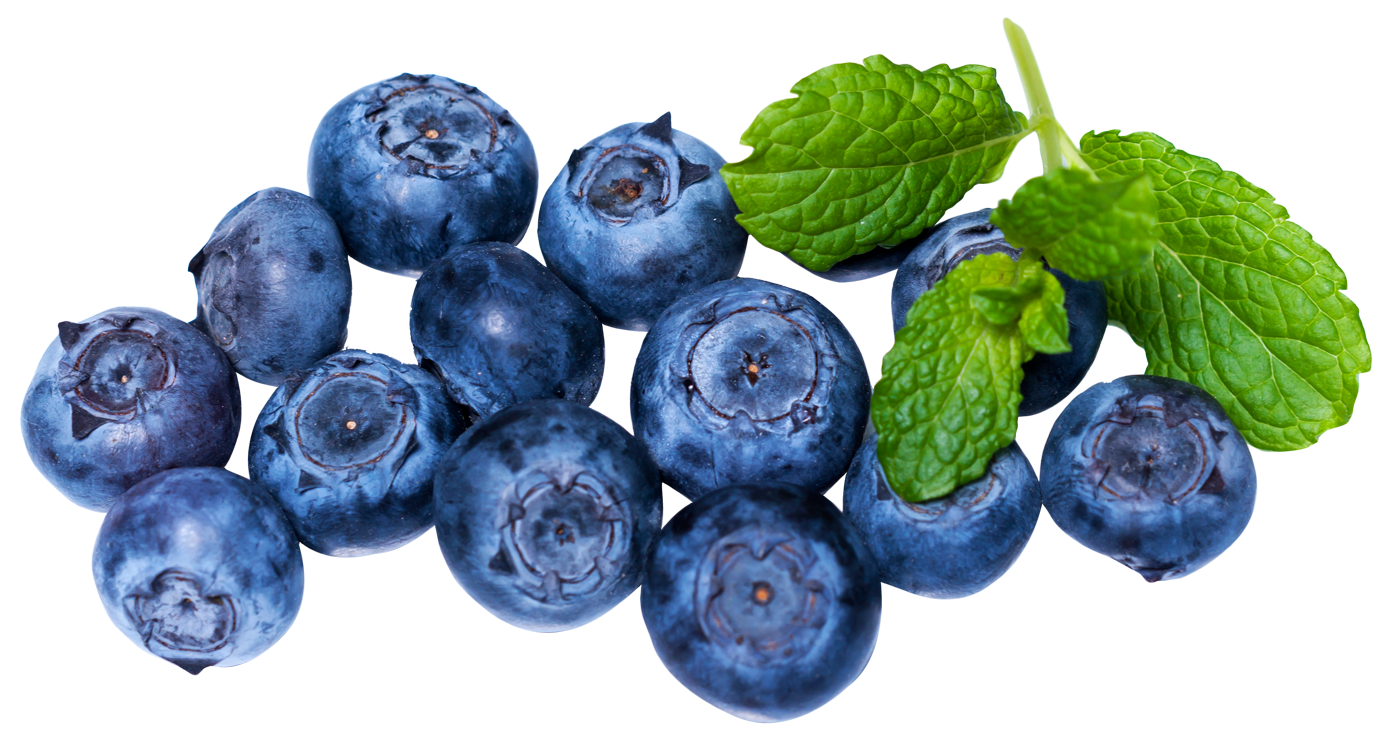 Detail Blueberries Png Nomer 14