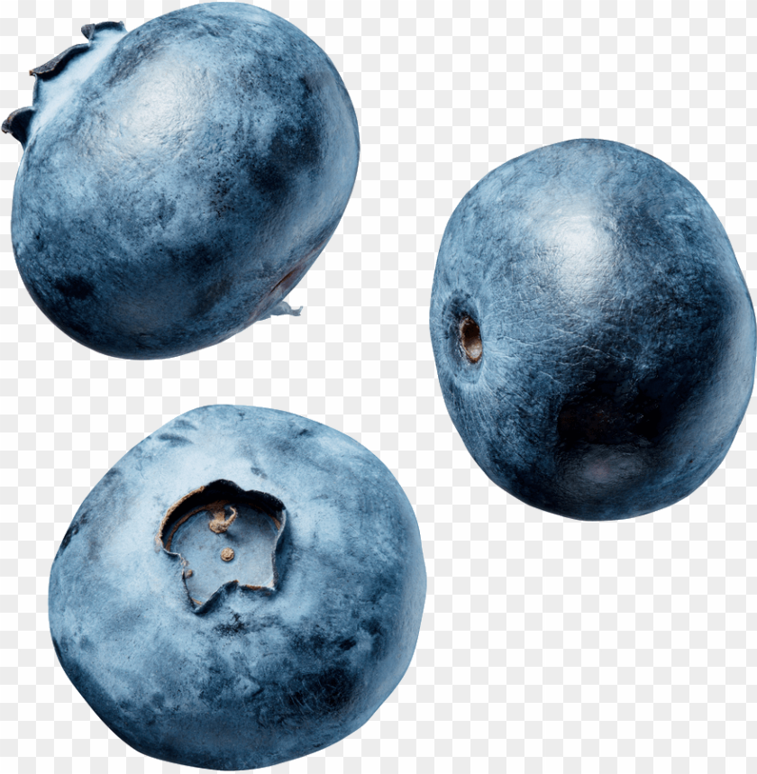 Detail Blueberries Png Nomer 24