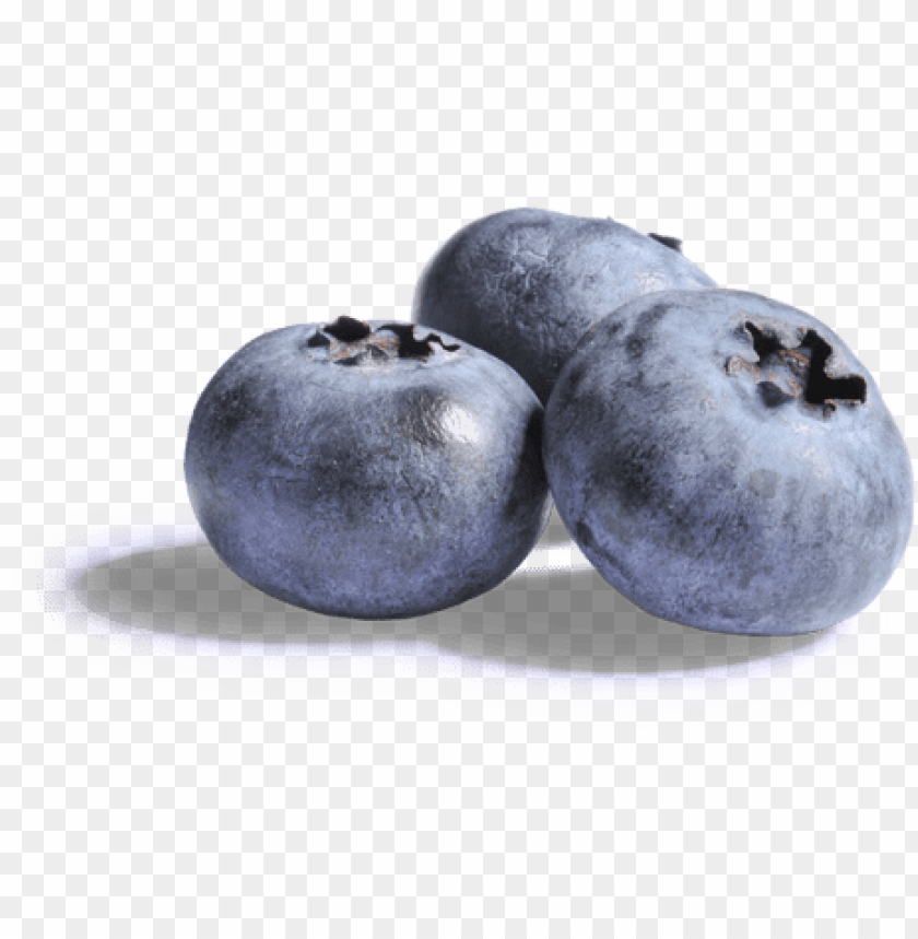 Detail Blueberries Png Nomer 31