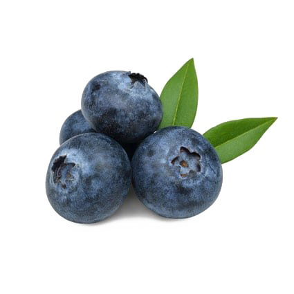 Detail Blueberries Png Nomer 34