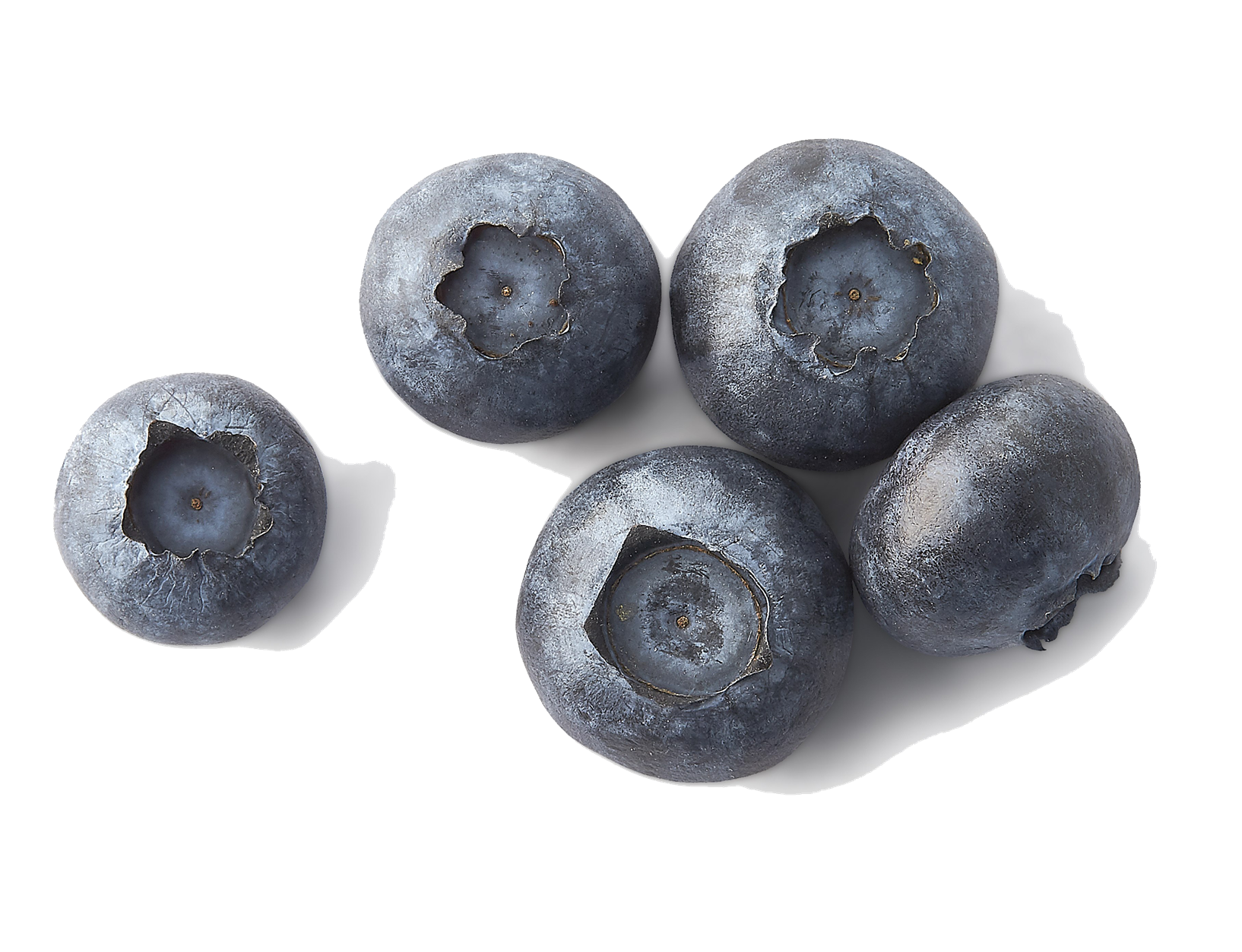 Detail Blueberries Png Nomer 35