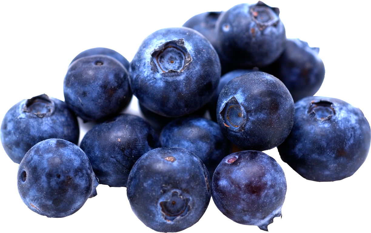 Detail Blueberries Png Nomer 5