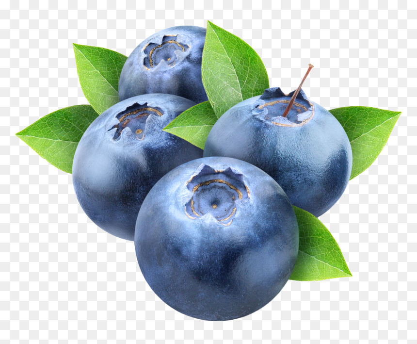 Detail Blueberries Png Nomer 39