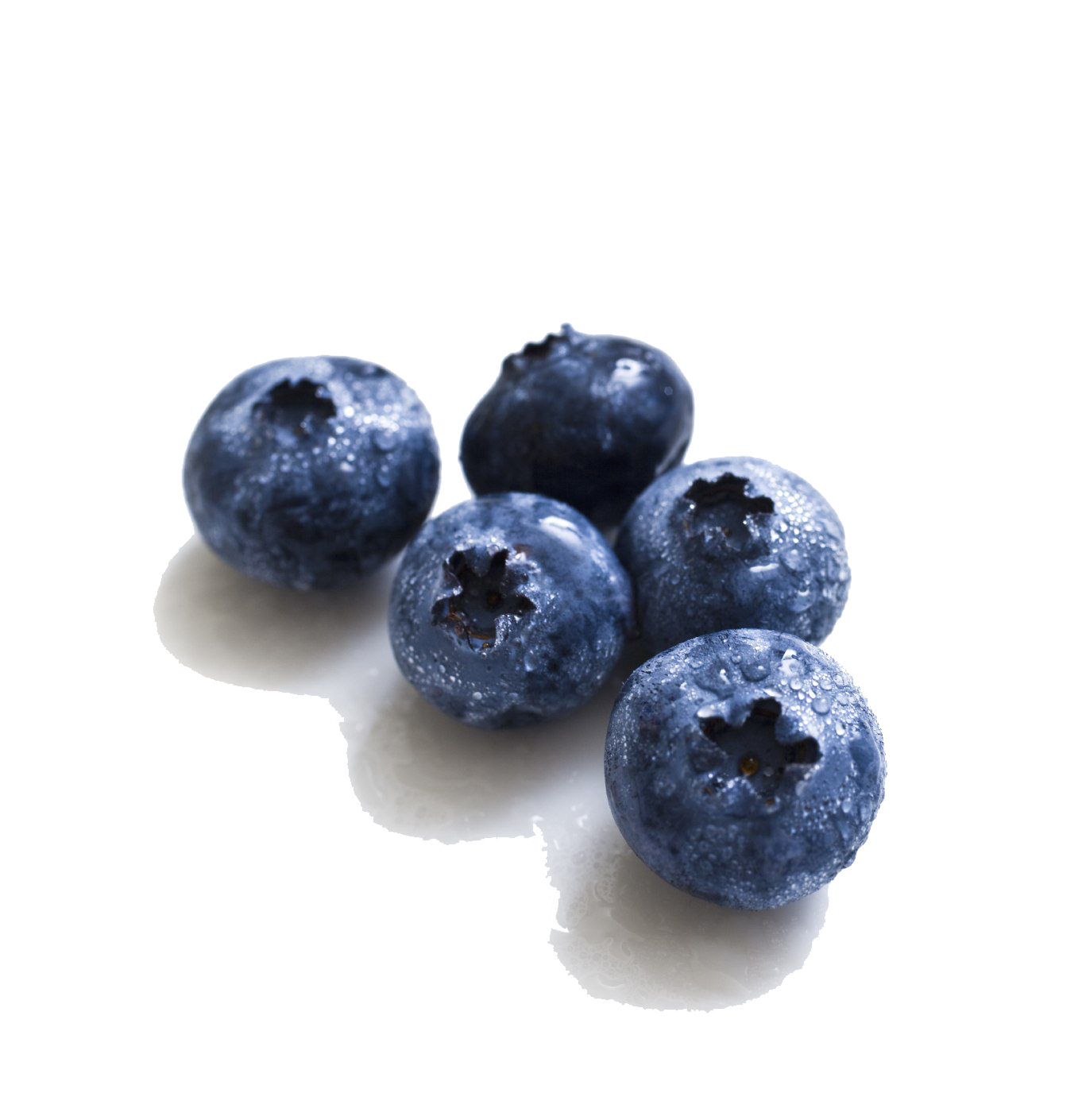 Detail Blueberries Png Nomer 40