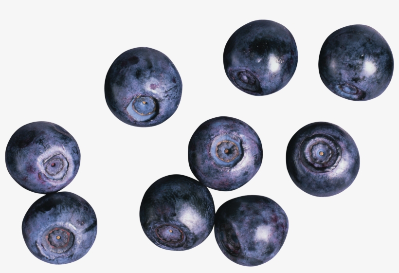 Detail Blueberries Png Nomer 46