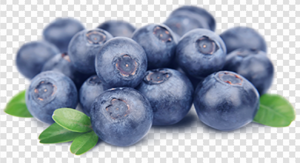 Detail Blueberries Png Nomer 53