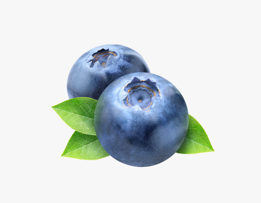 Blueberries Transparent Background - KibrisPDR