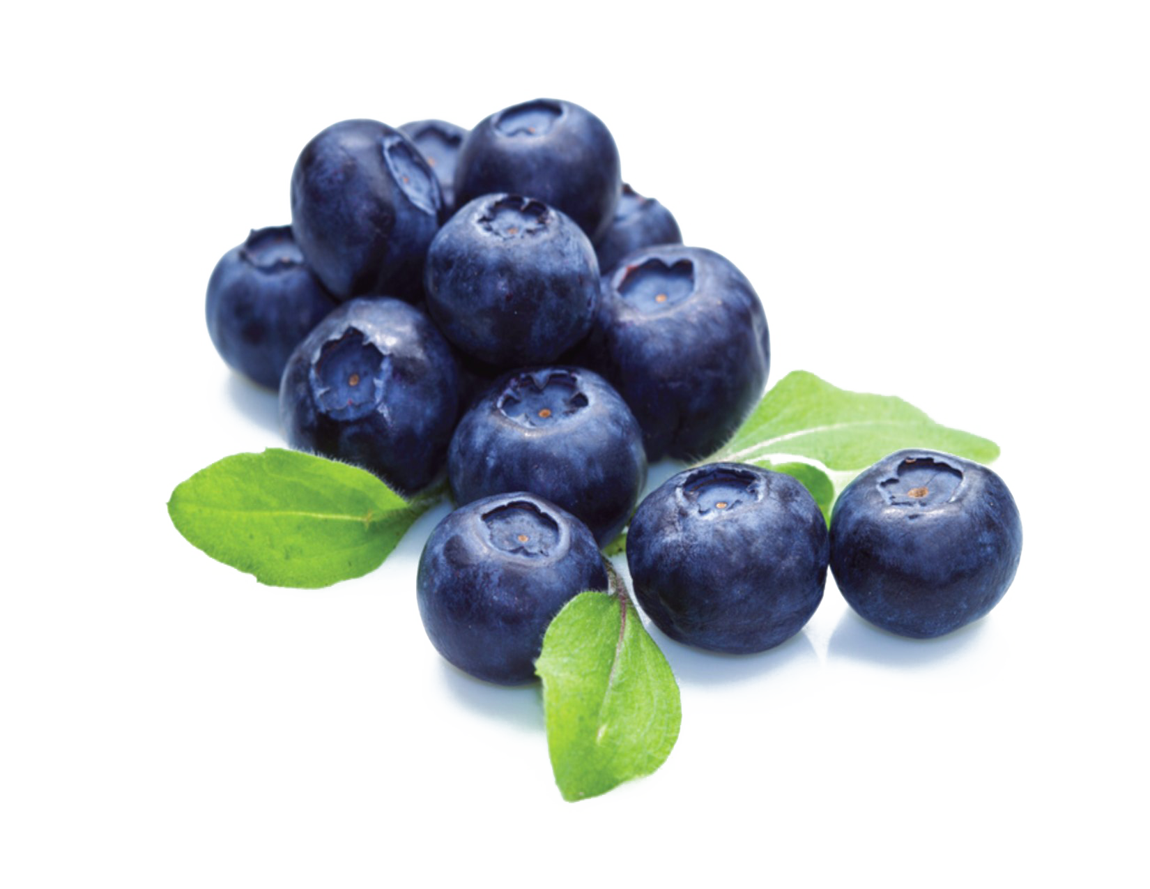 Detail Blueberries Transparent Background Nomer 10