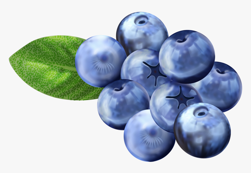 Detail Blueberries Transparent Background Nomer 13