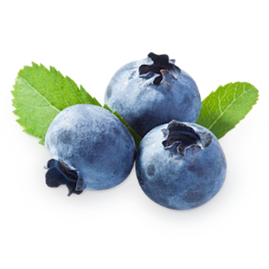 Detail Blueberries Transparent Background Nomer 14