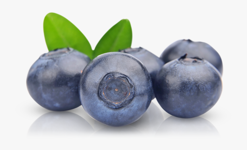 Detail Blueberries Transparent Background Nomer 17