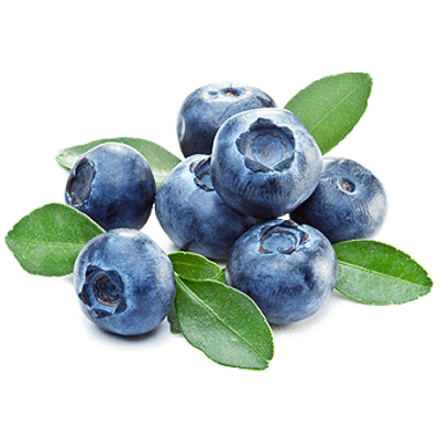 Detail Blueberries Transparent Background Nomer 3