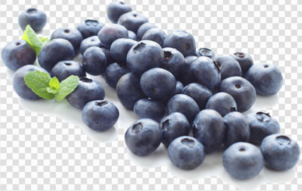 Detail Blueberries Transparent Background Nomer 34