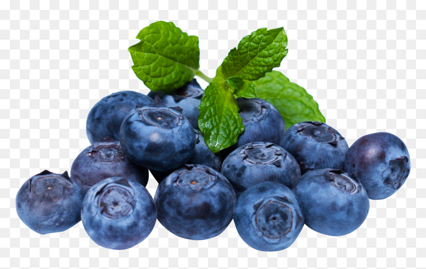 Detail Blueberries Transparent Background Nomer 5