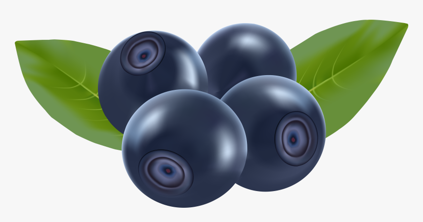 Detail Blueberry Clipart Nomer 16