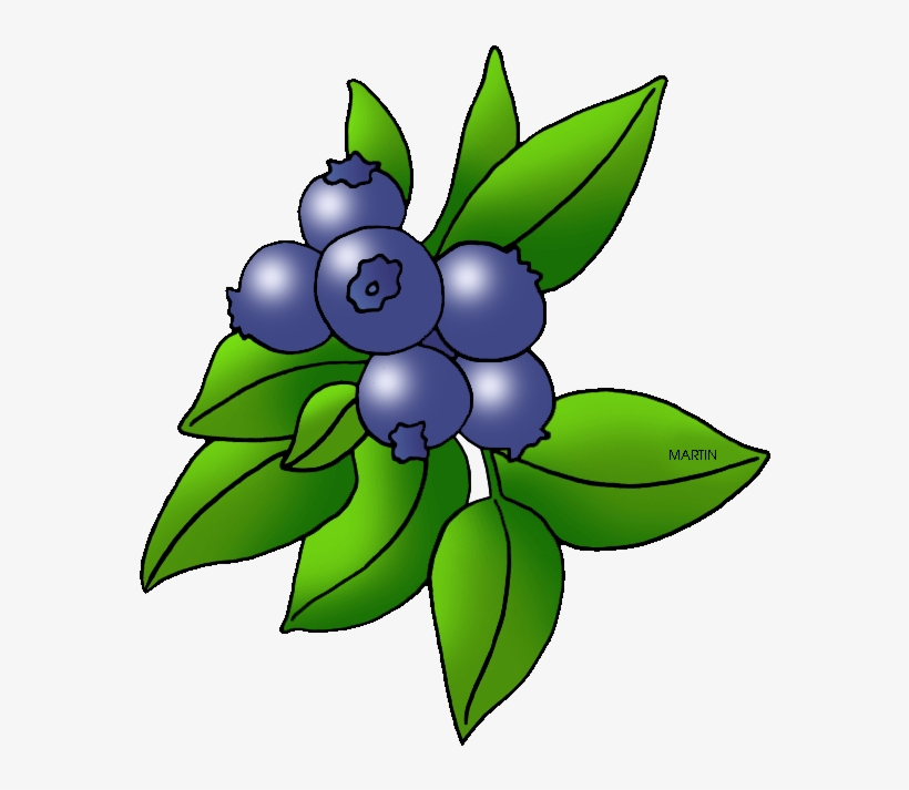 Detail Blueberry Clipart Nomer 28