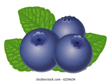 Detail Blueberry Clipart Nomer 39