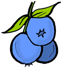 Detail Blueberry Clipart Nomer 41