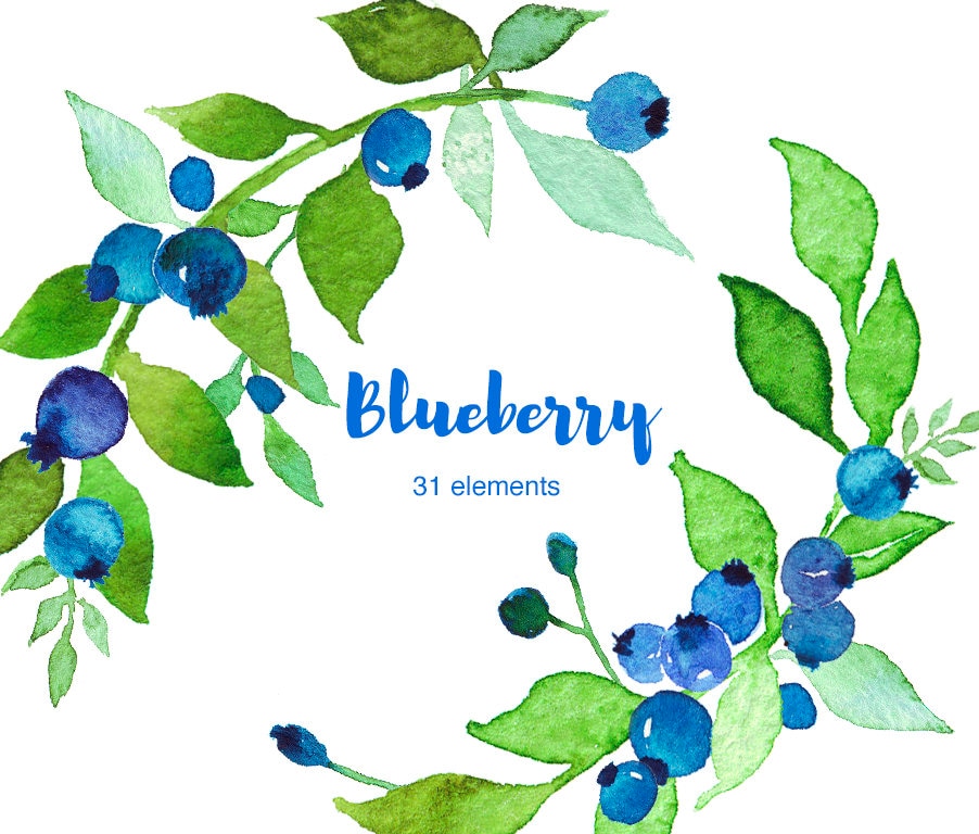Detail Blueberry Clipart Nomer 43