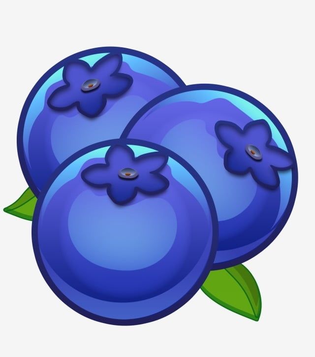 Detail Blueberry Clipart Nomer 44