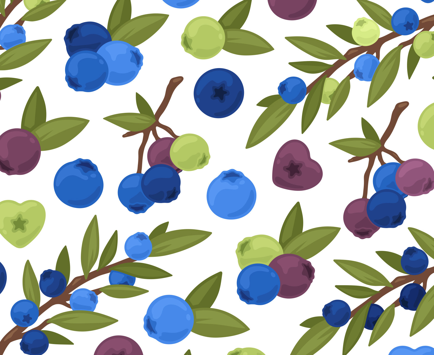 Detail Blueberry Clipart Nomer 47