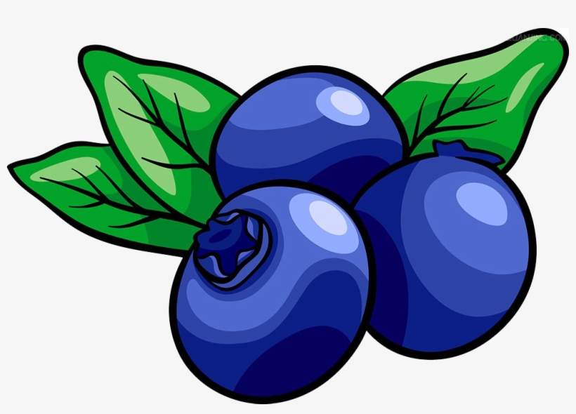 Detail Blueberry Clipart Png Nomer 2