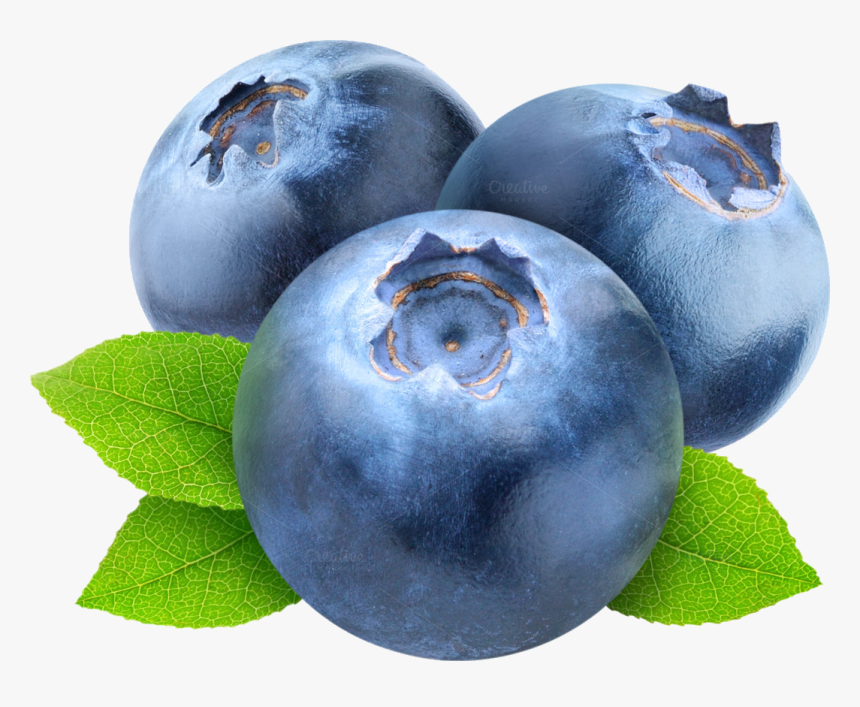 Detail Blueberry Clipart Png Nomer 12