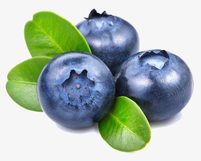 Detail Blueberry Clipart Png Nomer 13