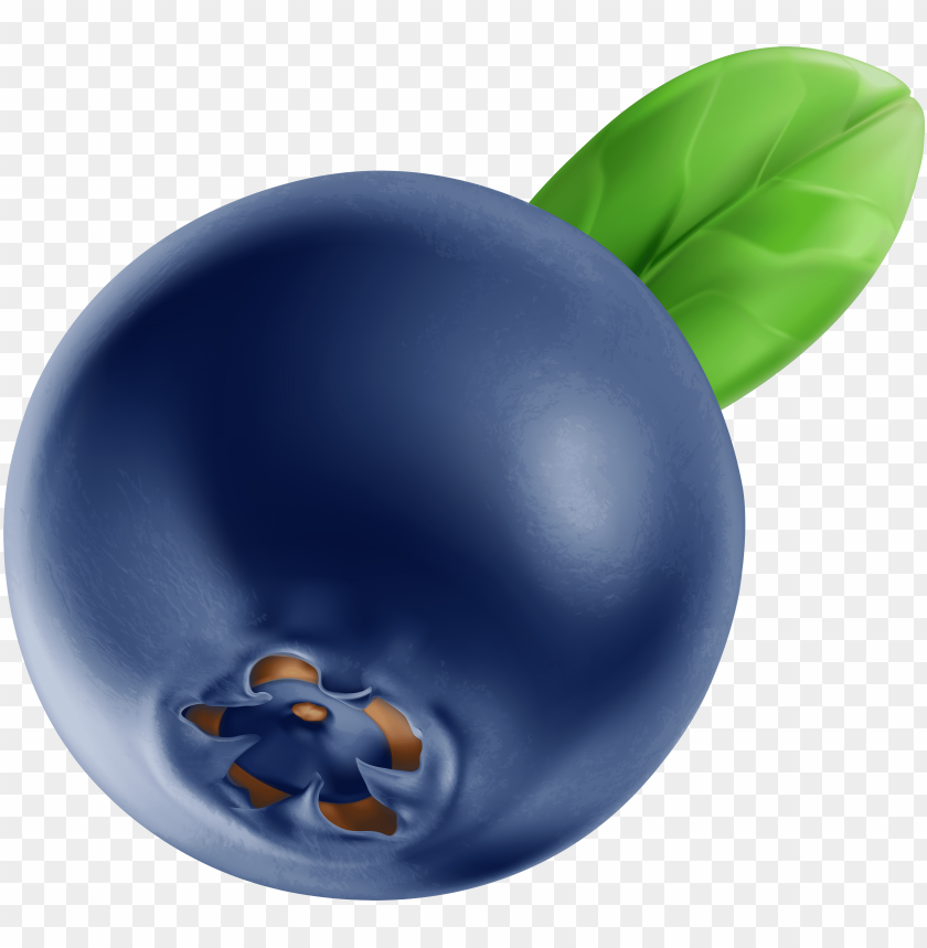 Detail Blueberry Clipart Png Nomer 16