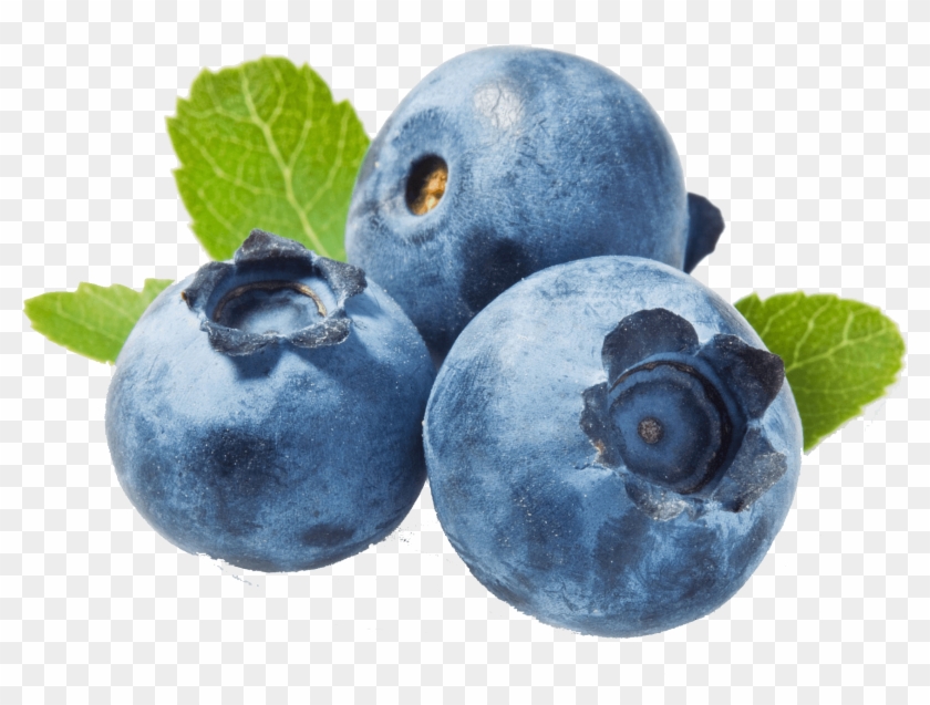 Detail Blueberry Clipart Png Nomer 19