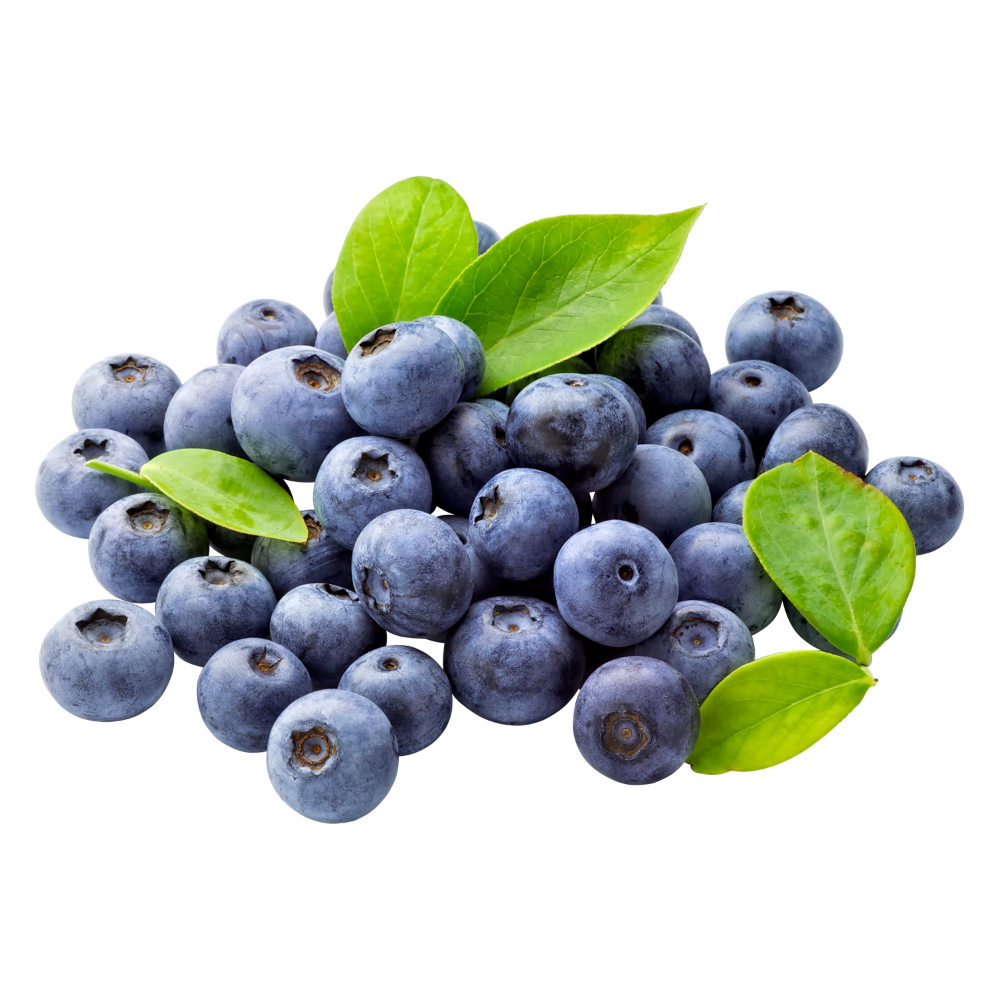Detail Blueberry Clipart Png Nomer 3