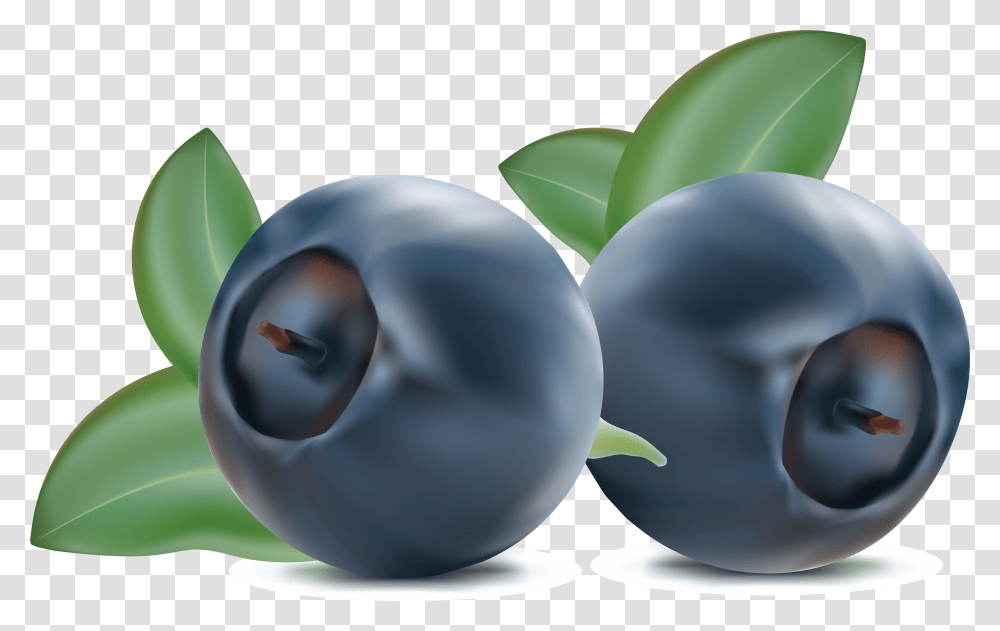 Detail Blueberry Clipart Png Nomer 21