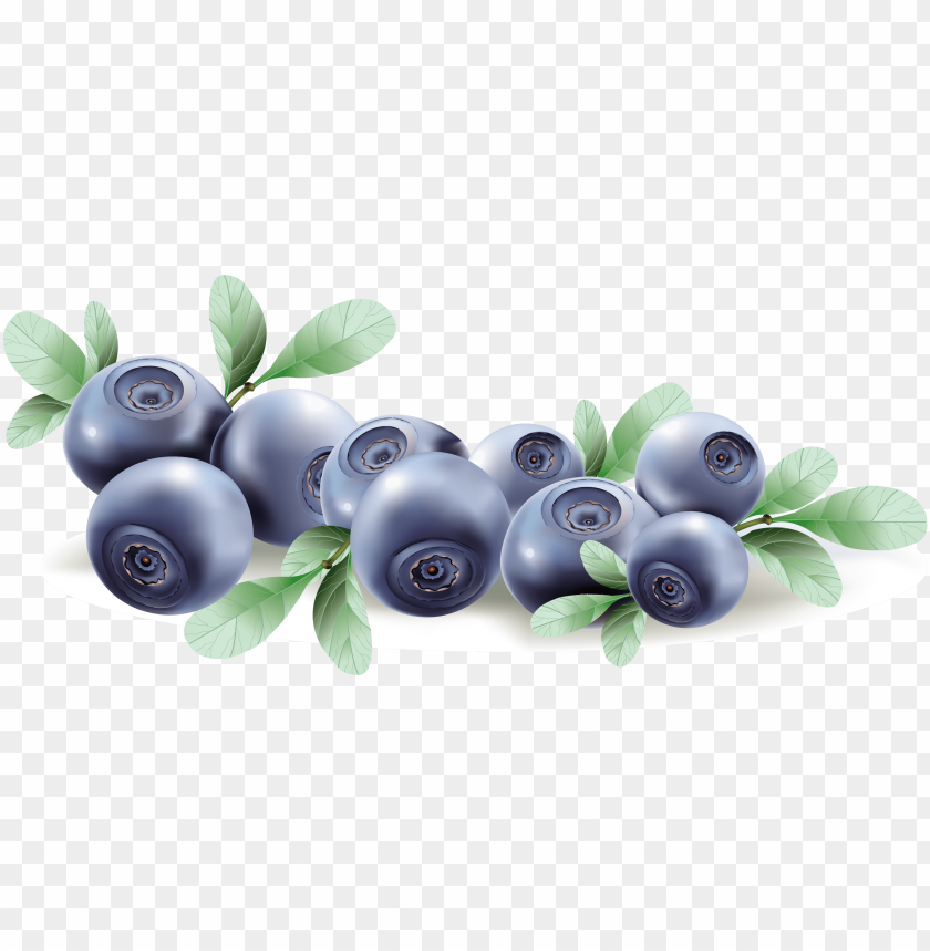 Detail Blueberry Clipart Png Nomer 22