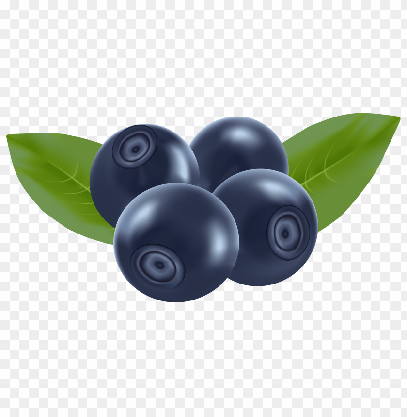 Detail Blueberry Clipart Png Nomer 27
