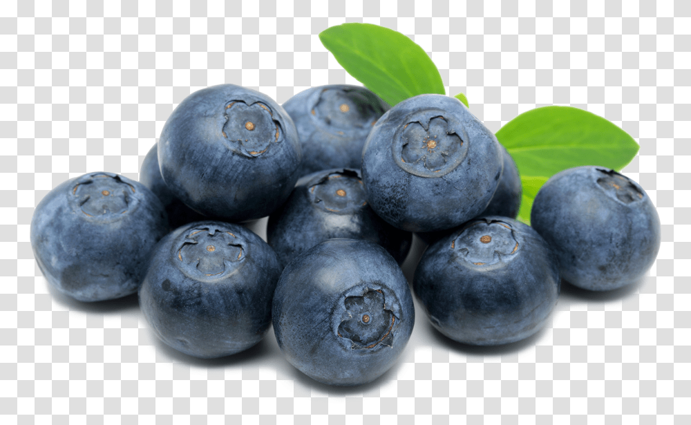 Detail Blueberry Clipart Png Nomer 37
