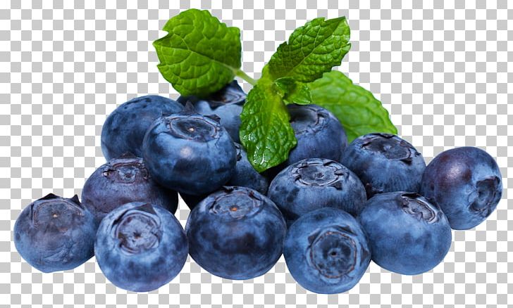 Detail Blueberry Clipart Png Nomer 39
