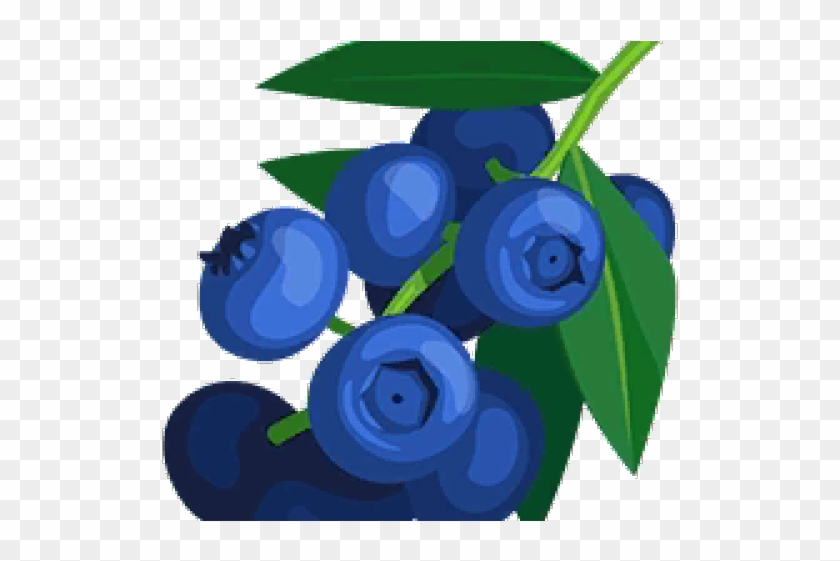 Detail Blueberry Clipart Png Nomer 45