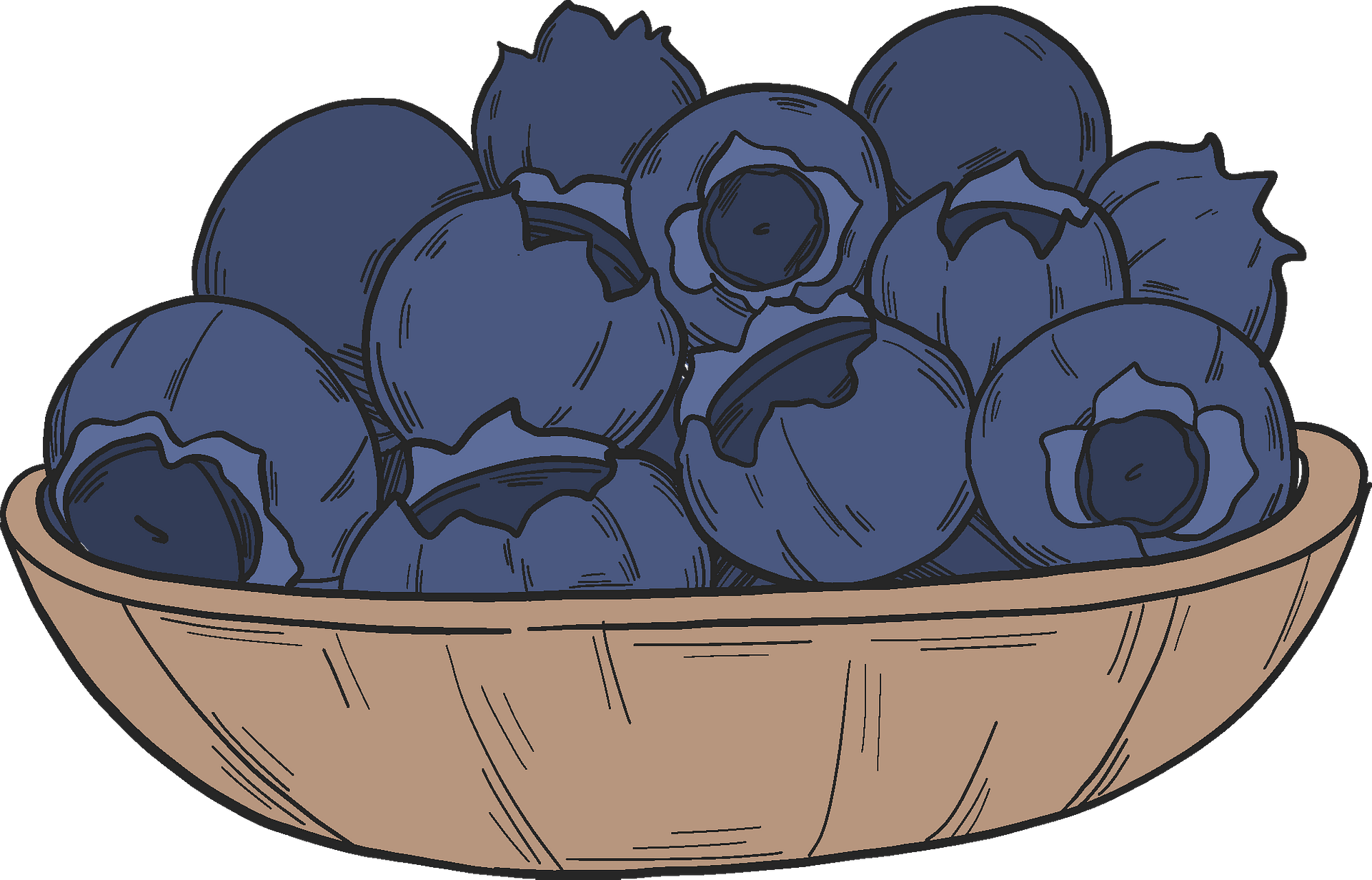 Detail Blueberry Clipart Png Nomer 46