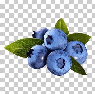 Detail Blueberry Clipart Png Nomer 53