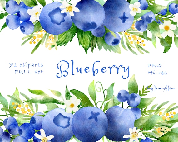 Detail Blueberry Clipart Png Nomer 55