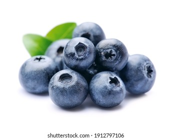 Detail Blueberry Images Free Nomer 42