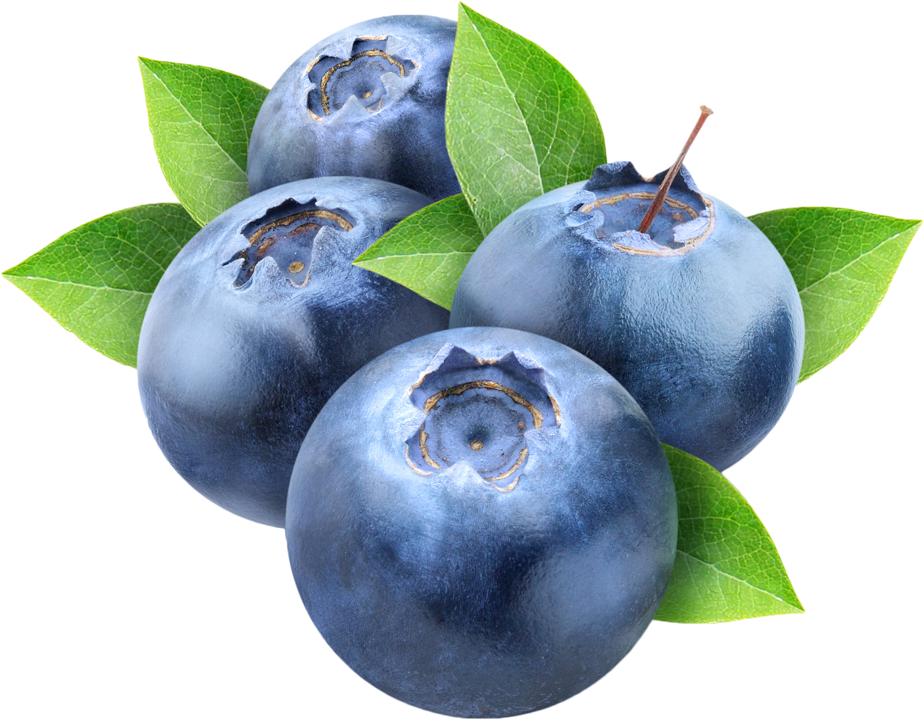 Download Blueberry Png Nomer 20