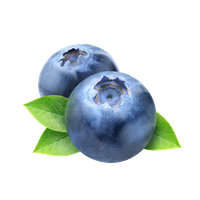 Detail Blueberry Png Nomer 3
