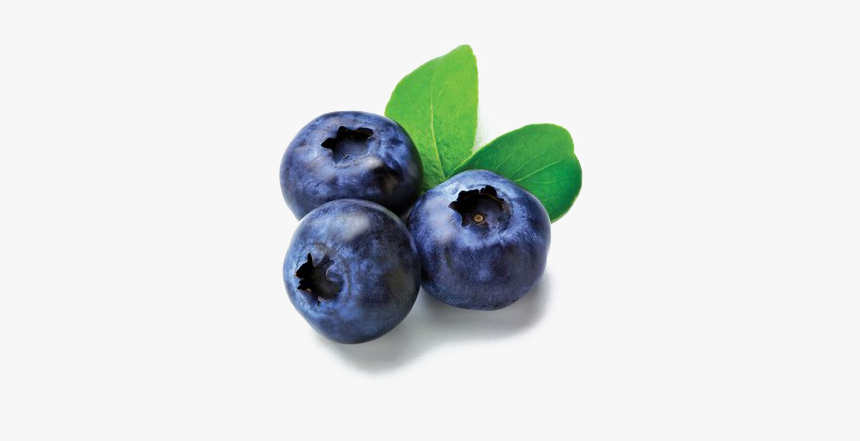 Detail Blueberry Png Nomer 4