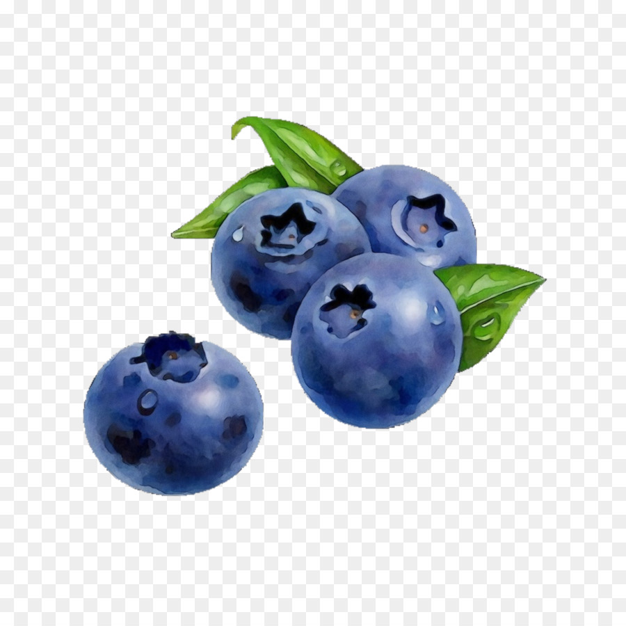 Detail Blueberry Png Nomer 41