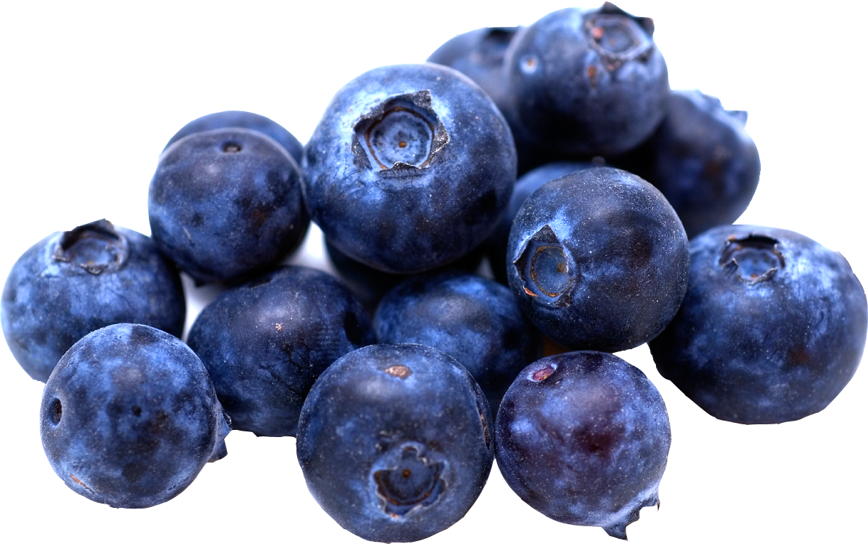 Detail Blueberry Png Nomer 6
