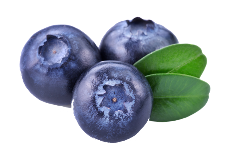 Detail Blueberry Png Nomer 8