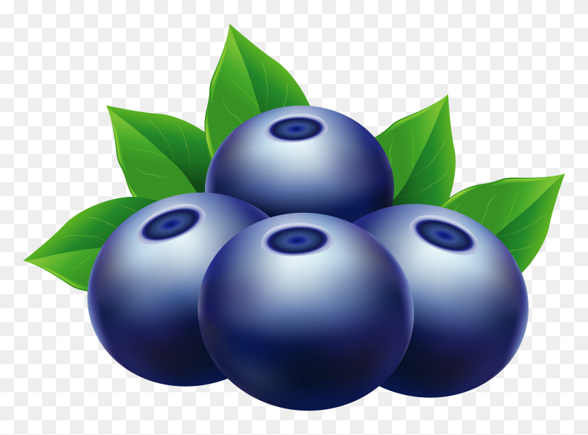 Detail Blueberry Vector Png Nomer 11