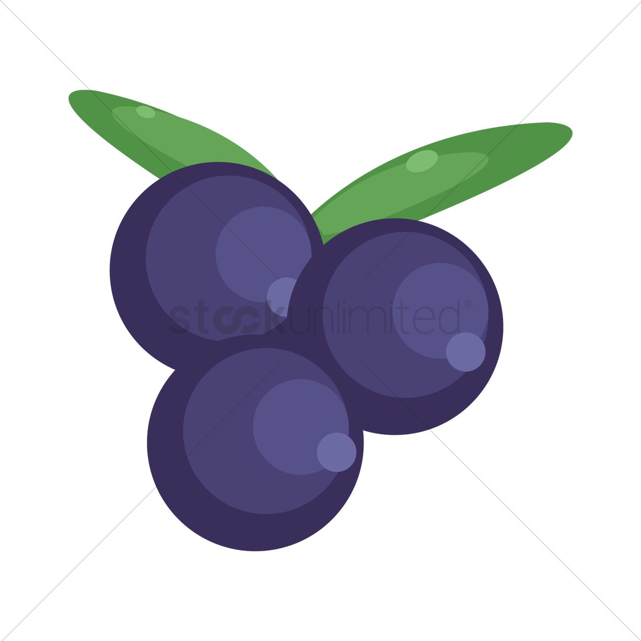Detail Blueberry Vector Png Nomer 13